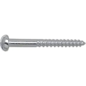 DIN 96 4x 20 Edelstahl A4 Holzschraube Halbrundkopf mit Schlitz