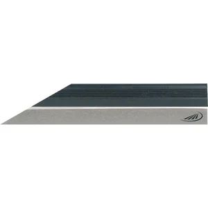 HELIOS PREISSER Präzisions Haarlineal INOX DIN874-00 Länge 200 mm