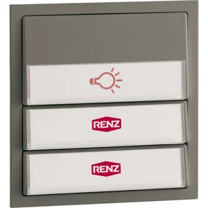 Tastenmodul für Renz-Frontplatte, m. 1 Licht- u. 2 Klingeltaster,Kunststoff grau