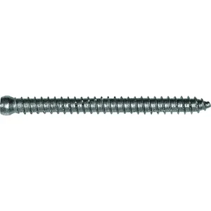 Rahmenanker 7.5x112 Zylinderkopf ø7.5 Torx30 verzinkt