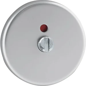 WC-Rosette außen WG D70, ø 50 mm, mit Anschraubträger "T", silber eloxiert