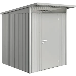 BIOHORT Gerätehaus AvantGarde A1 silber-metallic