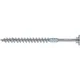 Eurotec Holzbauschraube SawTec