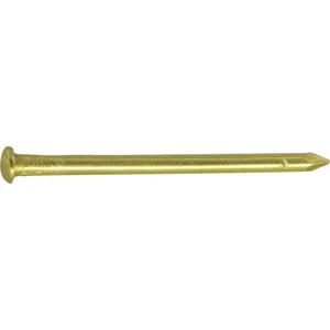 Nagel / Drahtstift Halbrundkopf 0.9x13 Messing blank