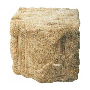 Holzwolle biologisch für zerbrechliche Produkte, 1 Ballen ca. 25 kg
