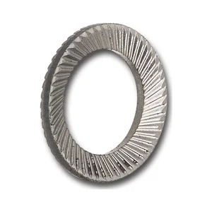 SCHNORR Sicherungsscheibe "S" M10 Edelstahl A2