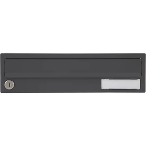 RENZ Ersatztüre für Hausbrieffachanlage 395 x 110 mm, basaltgrau RAL 7012