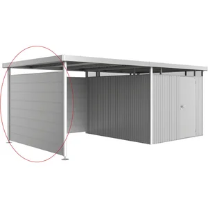 BIOHORT Seitendach-Seitenwand HighLine H5 silber-metallic