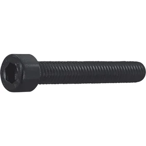 ISO4762 M 4x 45 Edelstahl A4 Zylinderschraube mit Innensechskant schwarz