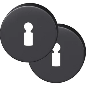 FSB Buntbartrosette rund 12 1735 00002 ASL, Aluminium schwarz matt