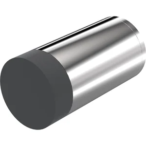 KWS Wandtürpuffer 2073, ø 30 mm, Länge 120 mm, Edelstahl poliert