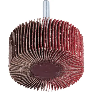 LUKAS Fächerschleifer 30 x 10 mm SFL Ceramic Korn 80 Schaft 6 mm