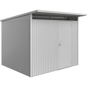 BIOHORT Gerätehaus AvantGarde A6 silber-metallic