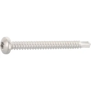 DIN7504N 5.5x 60 Torx25 Edelstahl A2 Linsen-Bohrschraube