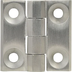 Schaltschrankscharnier 40 x 40 x 5 mm, Edelstahl