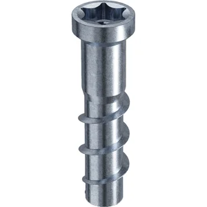 RAMPA TYP TSM M 6 x40 AD:10,5 verzinkt