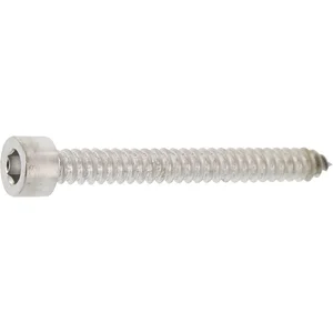 Blechschraube 6.3x 38 Edelstahl A2 mit Zylinderkopf ~912