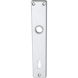 Langschild EUROPA, BB 90, silber eloxiert