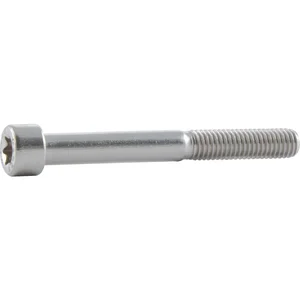 ISO14580 Zylinderschraube M 5 x 10 TX25 Stahl 8.8 verzinkt-blau ISR