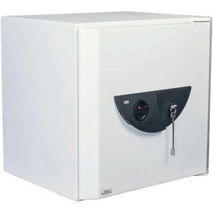 BURG-WÄCHTER Wertschutzschrank Office-Doku 821/K, lichtgrau