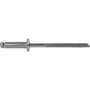 ISO15983 Blindniete Flachkopf 6.4x14 Edelstahl A4 mit Edelstahldorn A4