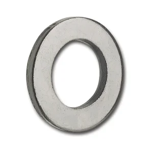 DIN1440 Dm 6 blank Scheibe