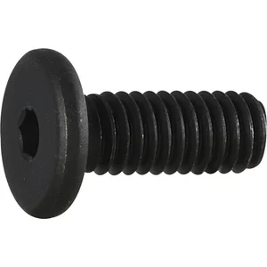Zylinderschraube mit extrem niedrigem Kopf M 5x 25 Güte 10.9