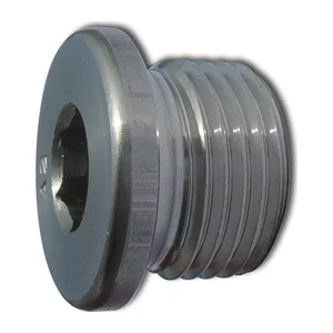 DIN908 G 1 1/8" Edelstahl A2 Verschlussschraube zylindrisches Gasgewinde