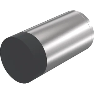 KWS Wandtürpuffer 2073, ø 30 mm, Länge 120 mm, Edelstahl matt