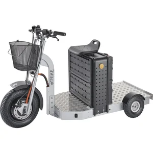 FATH eTRIKE Plattform Scooter PLS 175 1750 x 800 x 1035 mm inkl. Werkzeugkiste